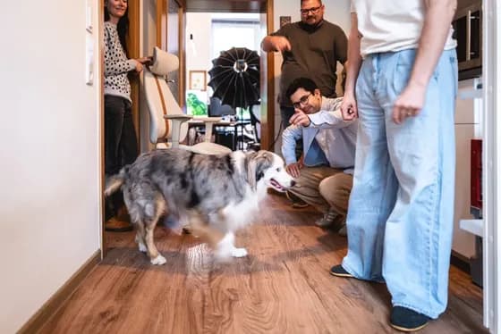 Behind the scenes – Studio mit Hund